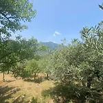 Cicero's - Intero * Castelbuono (Sicily)