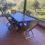 Cicero's - Intero